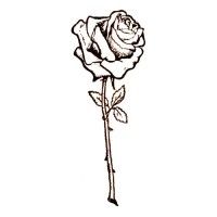 Rose Stereograph Co. logo, Rose Stereograph Co. contact details