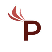 Phoenix Data Consulting logo, Phoenix Data Consulting contact details