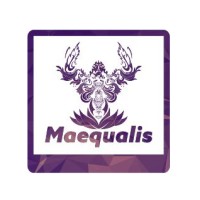 MaequalisTech logo, MaequalisTech contact details