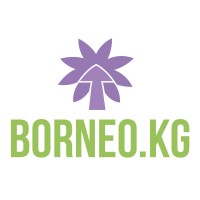 Интернет Курорт Borneo.KG logo, Интернет Курорт Borneo.KG contact details