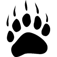 Bear Paw Capital logo, Bear Paw Capital contact details