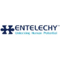 The Entelechy Partnership logo, The Entelechy Partnership contact details