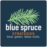 Blue Spruce Strategies, LLC logo, Blue Spruce Strategies, LLC contact details