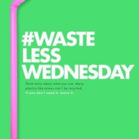 WasteLessWednesday, The Nonprofit Organization logo, WasteLessWednesday, The Nonprofit Organization contact details