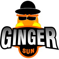 GingerSun Games logo, GingerSun Games contact details