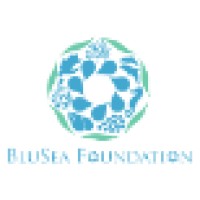 BluSea Foundation logo, BluSea Foundation contact details