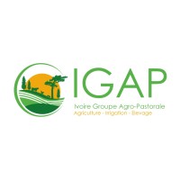 IGAP - IVOIRE GROUPE AGRO-PASTORALE logo, IGAP - IVOIRE GROUPE AGRO-PASTORALE contact details