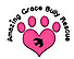 Amazing Grace Bully Rescue logo, Amazing Grace Bully Rescue contact details