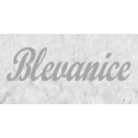 Blevanice Advisory Group logo, Blevanice Advisory Group contact details