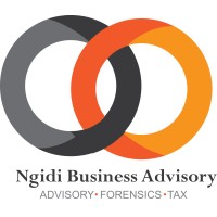 Ngidi Business Advisory logo, Ngidi Business Advisory contact details