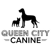 Queen City Canine logo, Queen City Canine contact details