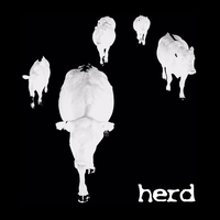 herd restaurant (aka, herdonmain) logo, herd restaurant (aka, herdonmain) contact details