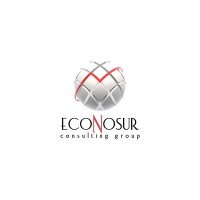 Econosur Consulting Group logo, Econosur Consulting Group contact details