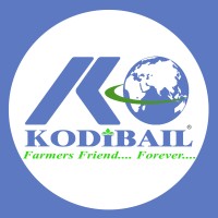 KODIBAIL IMPORT - EXPORT PRIVATE LIMITED logo, KODIBAIL IMPORT - EXPORT PRIVATE LIMITED contact details