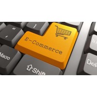 Ecommerce Holdings LLC logo, Ecommerce Holdings LLC contact details