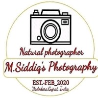 m.siddiq's photography logo, m.siddiq's photography contact details