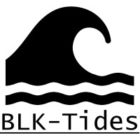 BLK-Tides LLC logo, BLK-Tides LLC contact details