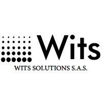 Wits Solutions logo, Wits Solutions contact details