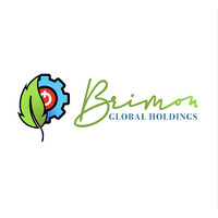 Brimon Global Holdings logo, Brimon Global Holdings contact details