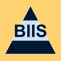 BIIS Consulting logo, BIIS Consulting contact details