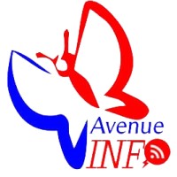 AVENUE INFO logo, AVENUE INFO contact details