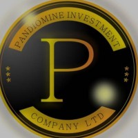 PANDIONMINE INVESTMENT COMPANY logo, PANDIONMINE INVESTMENT COMPANY contact details