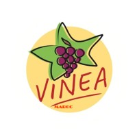 VINEA MAROC logo, VINEA MAROC contact details