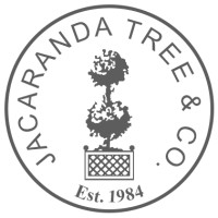 Jacaranda Tree & Co. logo, Jacaranda Tree & Co. contact details