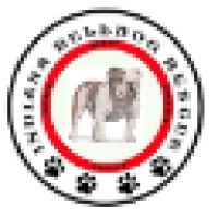 Indiana Bulldog Rescue logo, Indiana Bulldog Rescue contact details