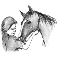 Horse Sense & Sensitivity logo, Horse Sense & Sensitivity contact details