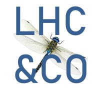 LHC and Company logo, LHC and Company contact details