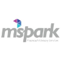 mspark financial advisory services logo, mspark financial advisory services contact details