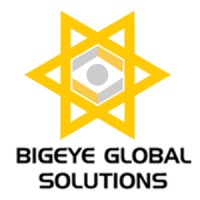 BigEye Global Solutions Pvt Ltd logo, BigEye Global Solutions Pvt Ltd contact details