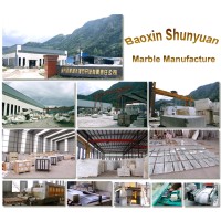 Baoxing Shunyuan Marble Development Co., Ltd. logo, Baoxing Shunyuan Marble Development Co., Ltd. contact details