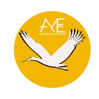 Asilana Marketing & Events (AME) logo, Asilana Marketing & Events (AME) contact details