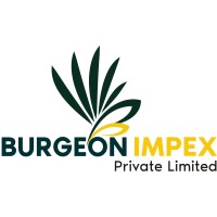 Burgeon Impex Private Limited logo, Burgeon Impex Private Limited contact details