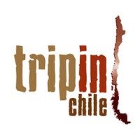 Tripinchile logo, Tripinchile contact details