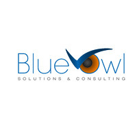 Blue Owl Solutions & Consulting logo, Blue Owl Solutions & Consulting contact details