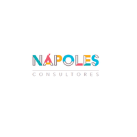 Nápoles Consultores logo, Nápoles Consultores contact details