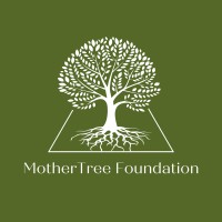 MotherTree Foundation logo, MotherTree Foundation contact details