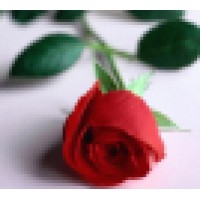 The Rose Ministry logo, The Rose Ministry contact details