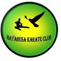 Hayabusa Karate logo, Hayabusa Karate contact details