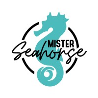 Mister Seahorse logo, Mister Seahorse contact details