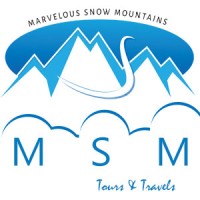 MSM Tours And Travels logo, MSM Tours And Travels contact details