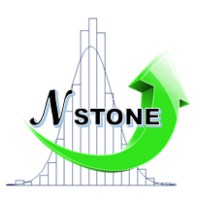 NSTONE ASSESSORIA E CONSULTORIA DE PROJETOS EIRELI logo, NSTONE ASSESSORIA E CONSULTORIA DE PROJETOS EIRELI contact details