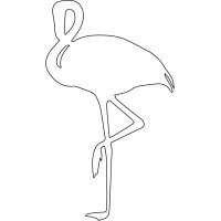 Illustrated Flamingo logo, Illustrated Flamingo contact details