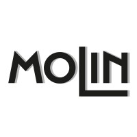 MOLIN Industrie – Inbetriebnahme & Montage Gesellschaft mbH & Co.KG logo, MOLIN Industrie – Inbetriebnahme & Montage Gesellschaft mbH & Co.KG contact details