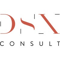 DSXConsult logo, DSXConsult contact details