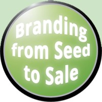 1st Straw Cannabis Marketing logo, 1st Straw Cannabis Marketing contact details