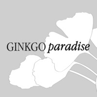 Ginkgo Paradise logo, Ginkgo Paradise contact details